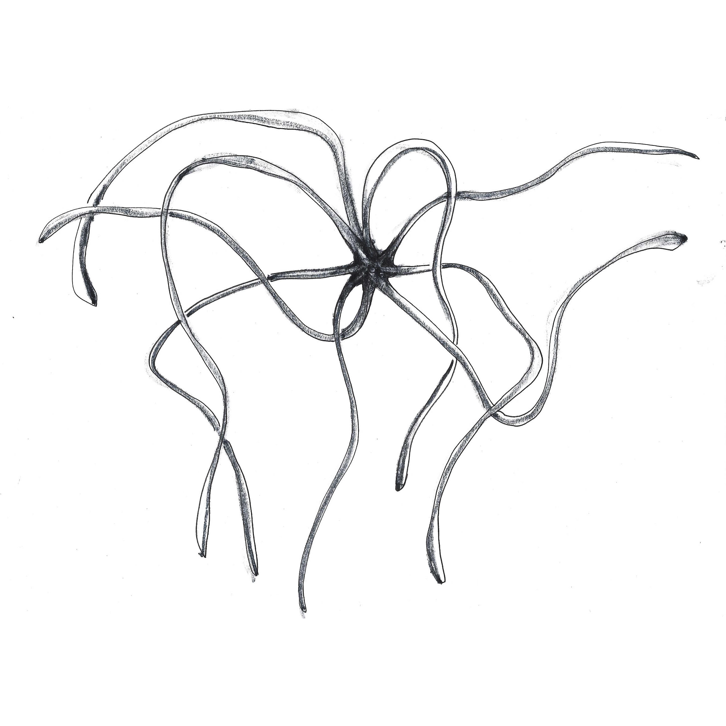 kraken