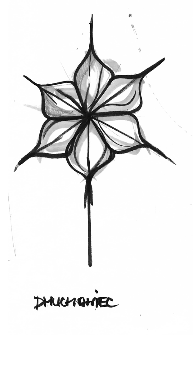 ZIETA-KONICZYNA-SZKIC1